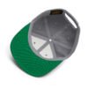 Snapback Hat