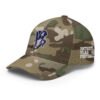 Structured Twill Cap