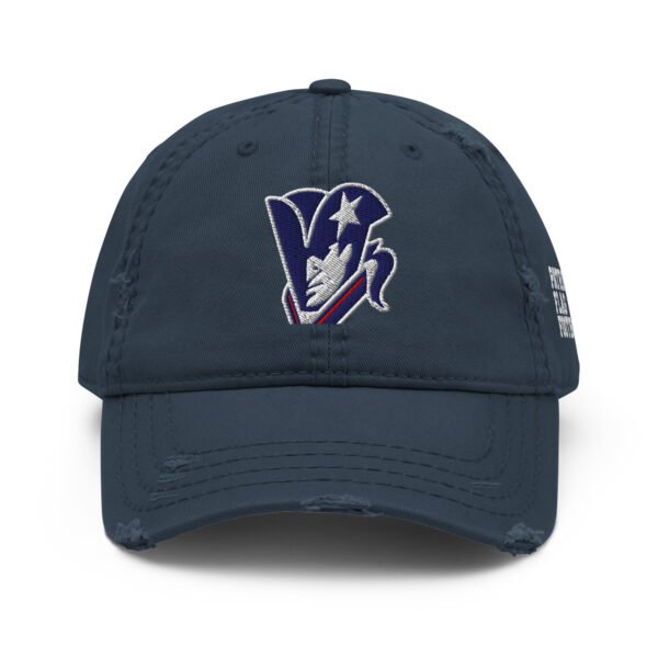Distressed Dad Hat